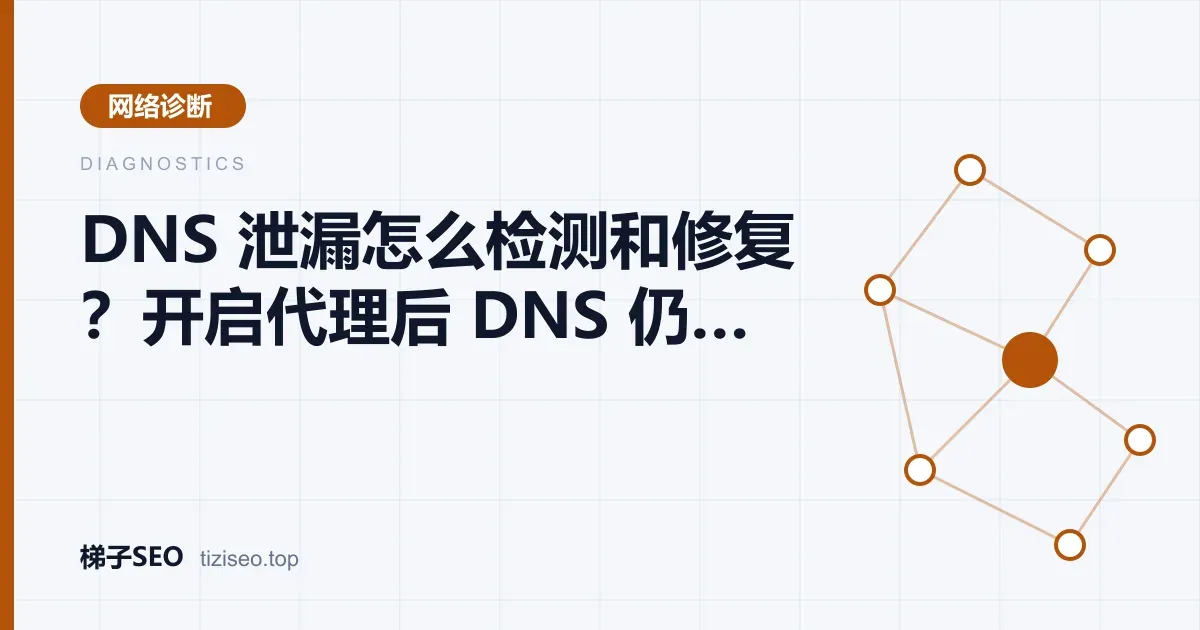 DNS 泄漏检测结果中同时出现本地运营商和海外 DNS 服务器的示意图