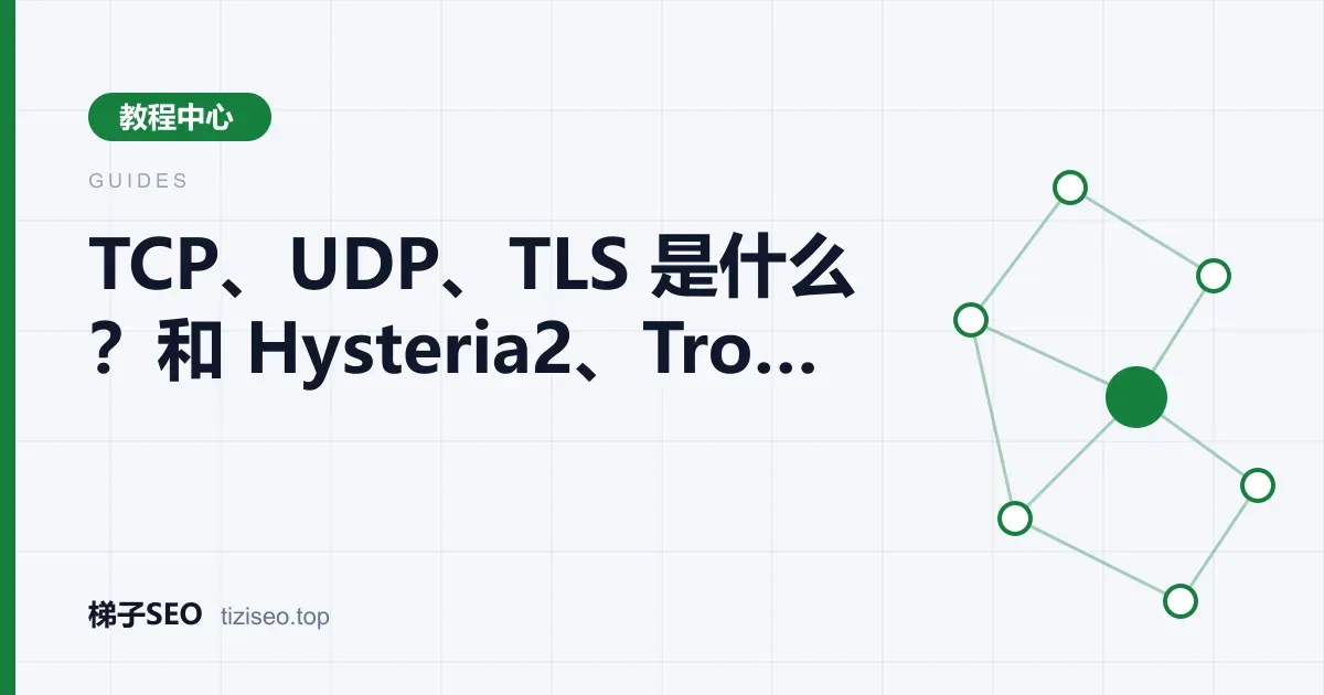 TCP、UDP 与 TLS 分层关系以及常见代理协议所在位置的示意图